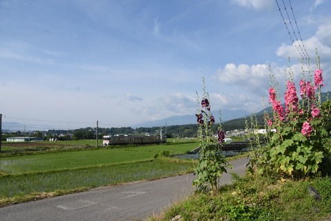 DSC_1810-2