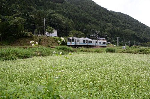 イメージ 1