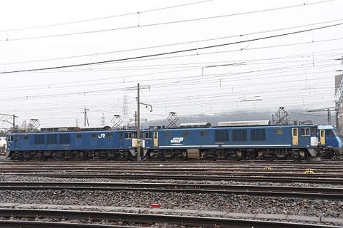 DSC_7540-1