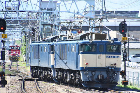 DSC_2084-1