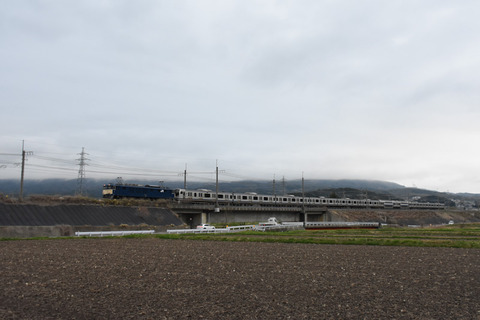 DSC_7164-1