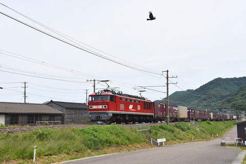DSC_1169-1