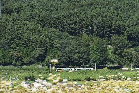 DSC_0700 (2)-1