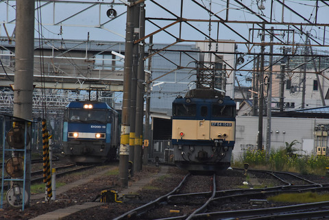 DSC_6083-1