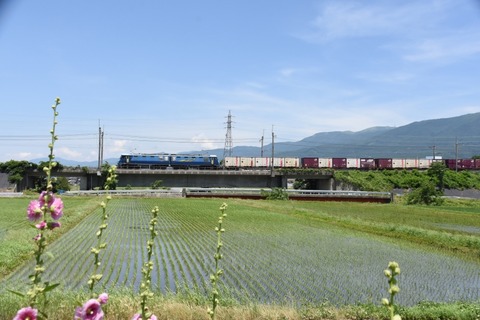DSC_7145-2
