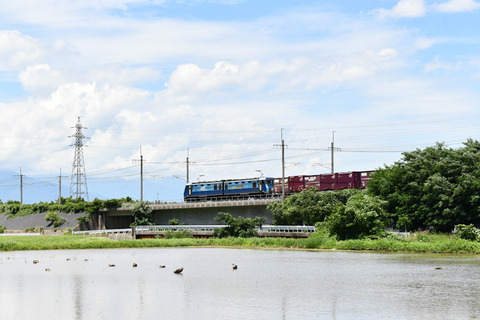 DSC_2138-1