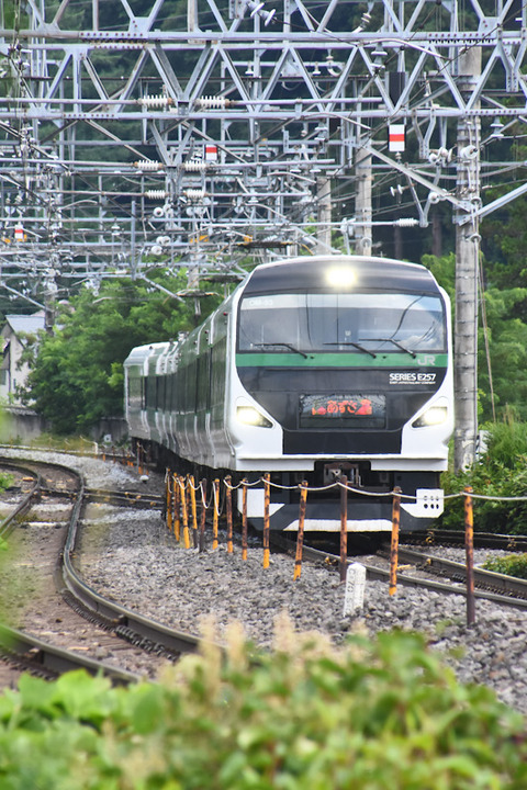 DSC_7734-1