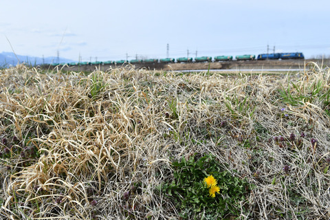 DSC_9149_edited