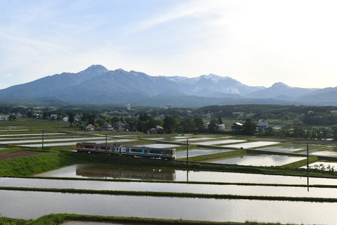 DSC_4519-1