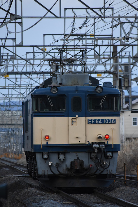 DSC_0874-1