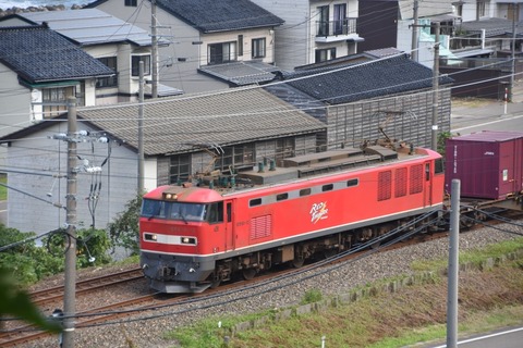 DSC_7606-2