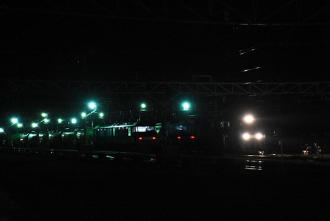 DSC_2986-1