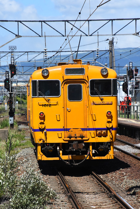 DSC_8855-1