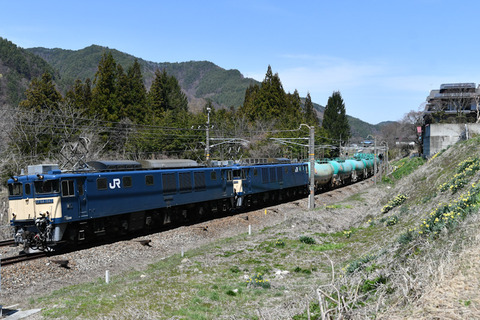 DSC_8713-1