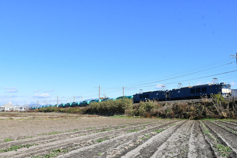 コピー (1) ～ DSC_7331-1