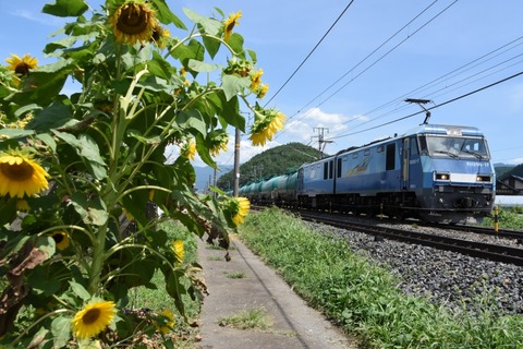 DSC_7886-2