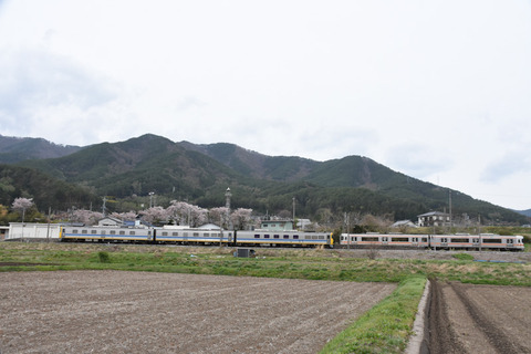 DSC_7051-1