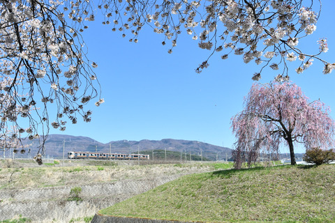 DSC_1588_edited