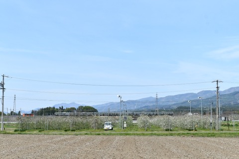 DSC_2406-2
