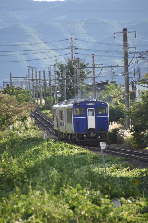 DSC_3932-1