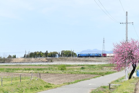 DSC_2151-2