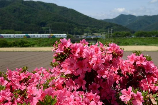 イメージ 2