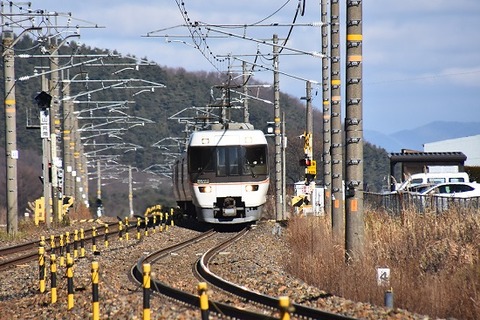 DSC_7867 (2)-1