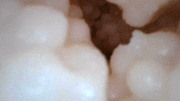 tubutububotehidanikuatu001