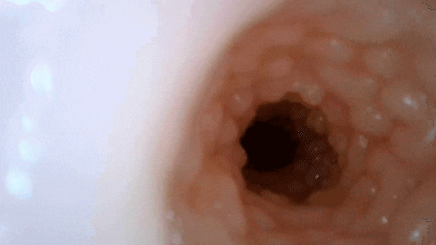 hdeosirinosukinasoft007