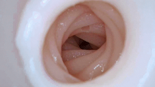 taimaninhipsiranui003