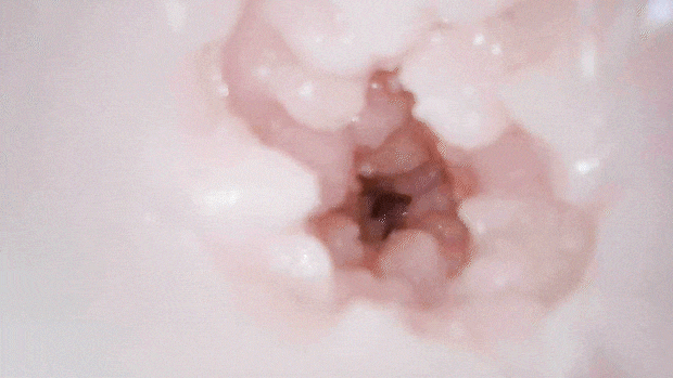 fuwapomserafim003