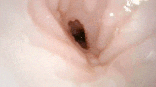 semaananoosananajimi#45_005