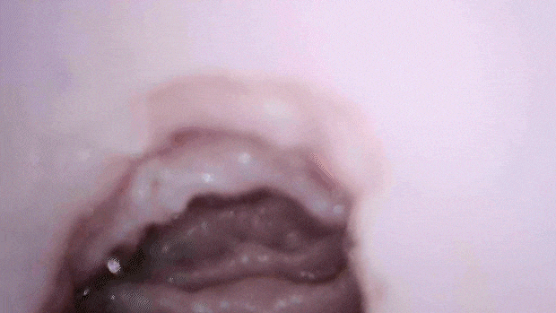 vargophantazma002