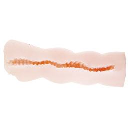 onaho_shoujo_02_thumb03