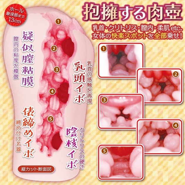 女子高生　断面図　無修正 