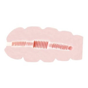 EXE 四つ目屋本舗 名器探訪 襞比べ 重厚輪