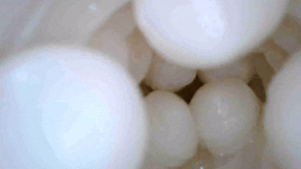 whiteprremium003