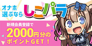 めちゃしこパラダイス