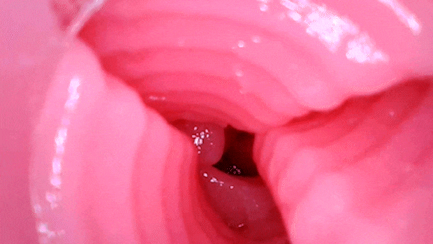 sankakucaribration003