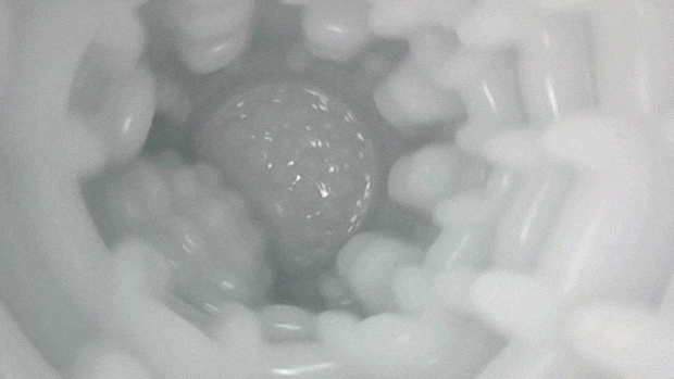 glepis4