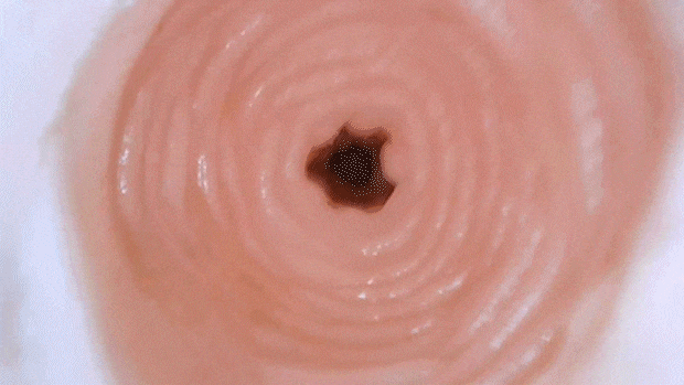 hdeosirinosukinasoft008