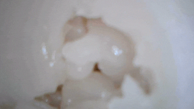 randomflicj001