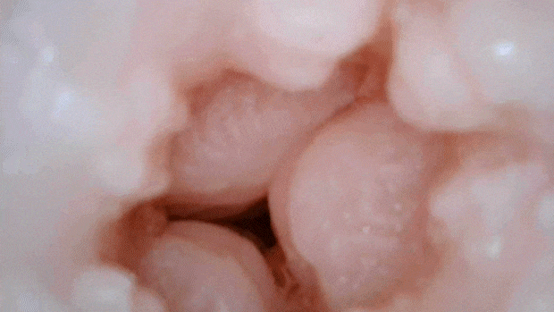 fukkokupunivirgin003