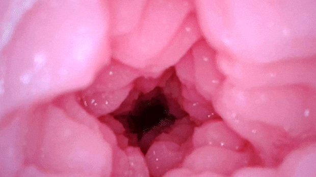 biramoriblooming001