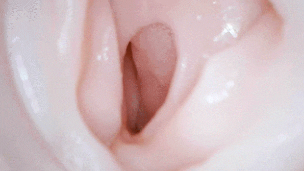guguguroom003