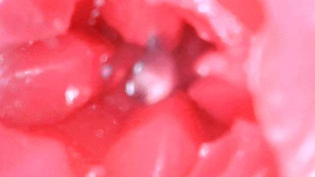 sishunkisanctuary003