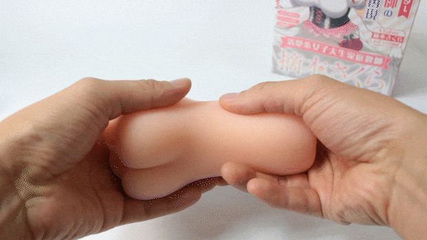 seisokeijosidaisei0001