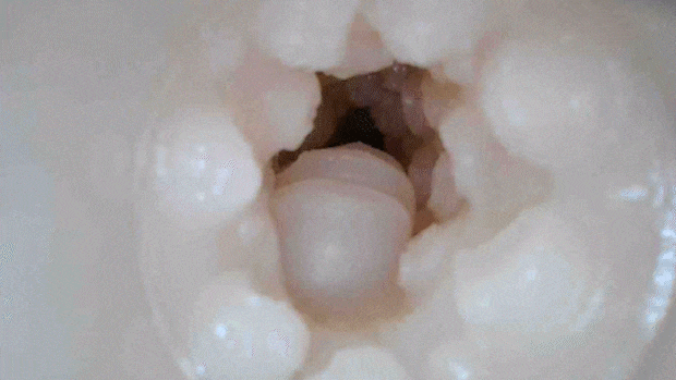 sokuhamedekityau001