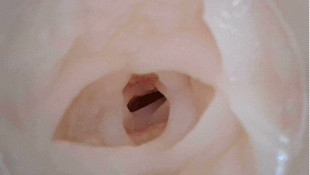 taimaninhip004