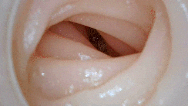 taimaninxl003